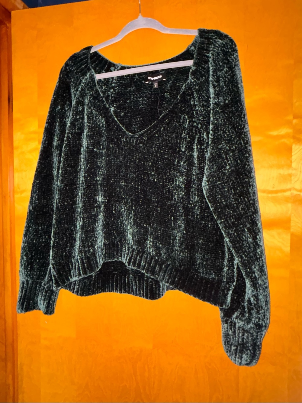 Express Forest Green Chenille V-Neck Sweater